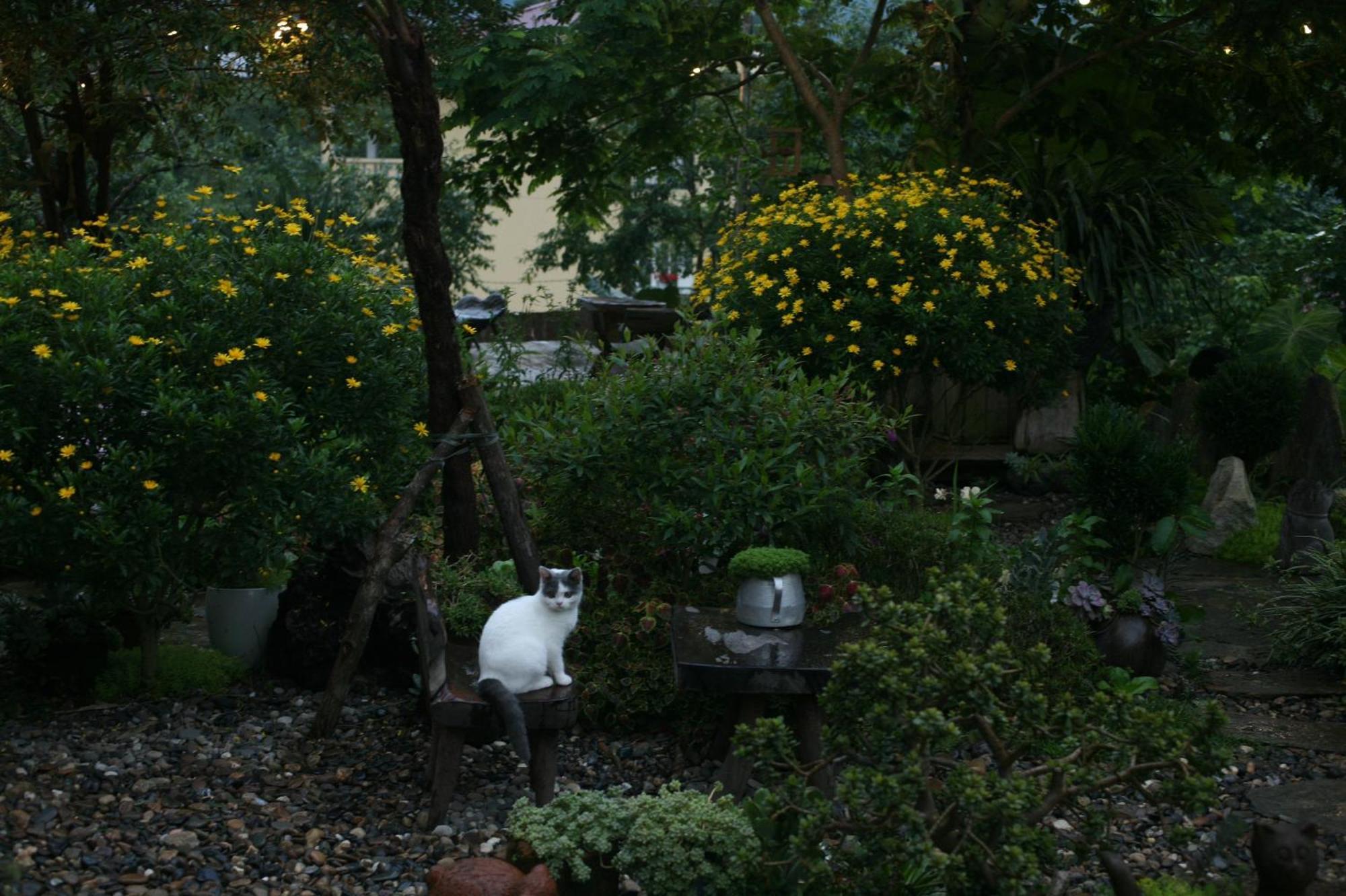 La Maison House & Bungalow Sa Pa Zewnętrze zdjęcie